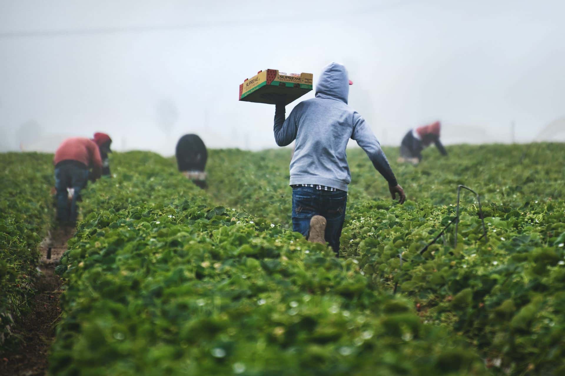 Learn about the role of associations in protecting the environment
